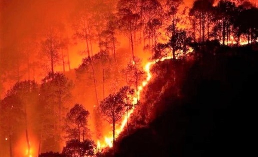 10 vụ cháy rừng tồi tệ nhất thế giới từng chứng kiến - Ảnh 2.