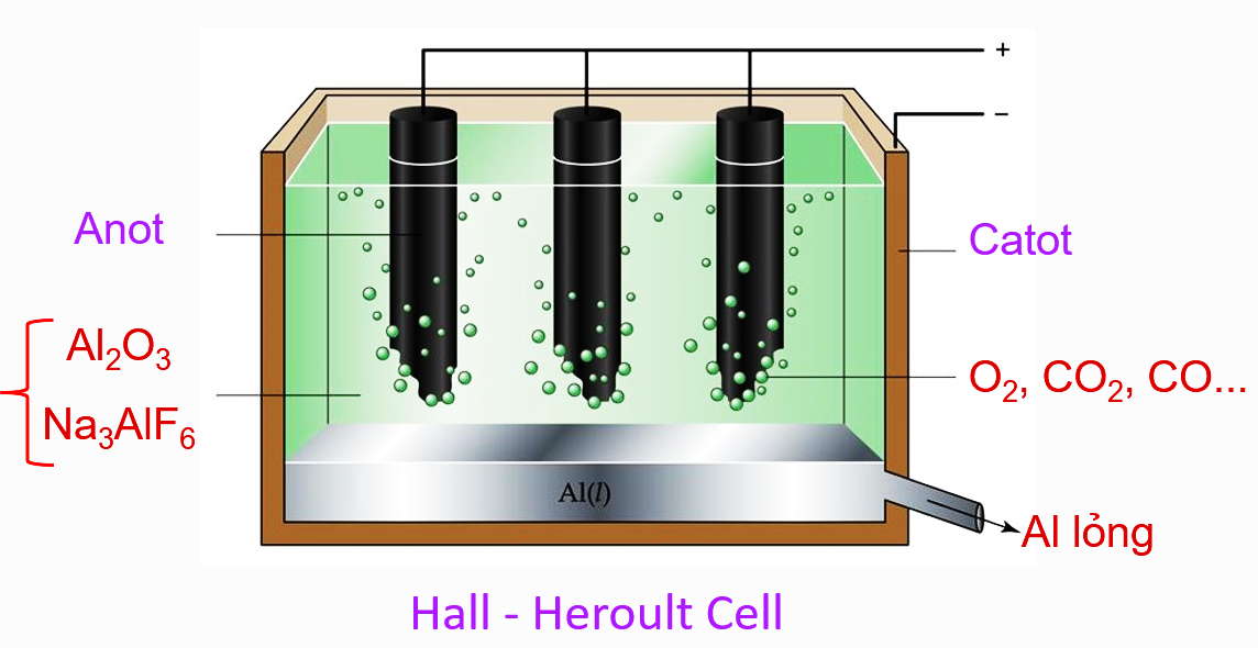 A diagram of a cell Description automatically generated with low confidence