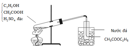 Điều chế etyl axetat trong phòng thí nghiệm được mô tả như hình vẽ sau