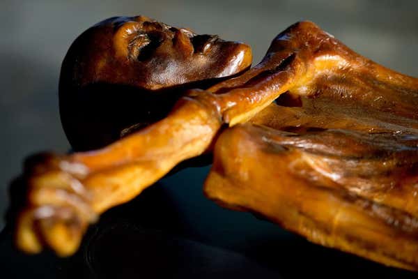 Iceman Ötzi may have had stomach ache when he was murdered | New Scientist
