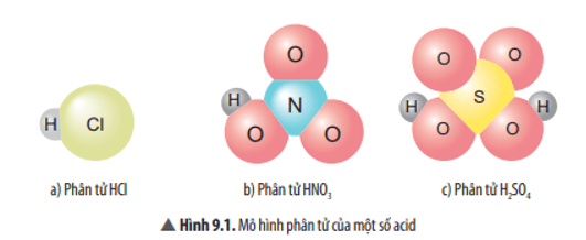 Thành phần phân tử của các chất trong Hình 9.1 có điểm gì giống nhau?