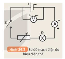 KHTN 8 Bài 24 (Kết nối tri thức): Cường độ dòng điện và hiệu điện thế (ảnh 4)