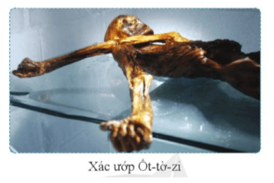 Vào năm 1991, các nhà khoa học đã phát hiện ra xác ướp Otzi (Ốt – tờ - zi) – xác ướp tự nhiên được tìm thấy trong tuyết lạnh